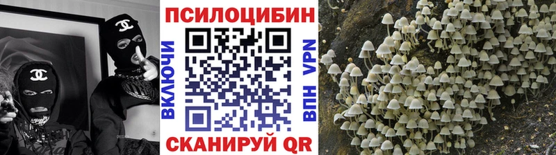 Псилоцибиновые грибы Psilocybine cubensis  как найти наркотики  сайты даркнета наркотические препараты  Зима 