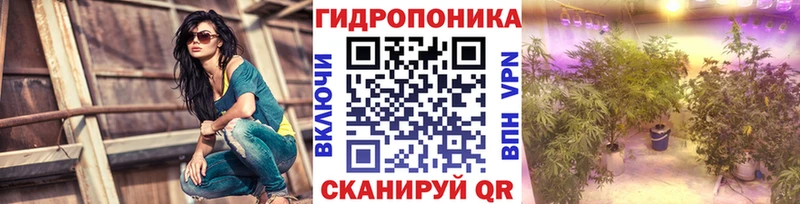 даркнет сайт  Зима  Шишки марихуана сатива 
